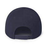 Texas Fury Snapback Hat