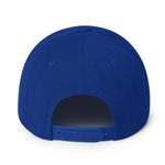 Texas Fury Snapback Hat
