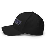 Texas Fury Structured Twill Cap