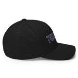 Texas Fury Structured Twill Cap