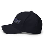 Texas Fury Structured Twill Cap