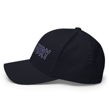 Texas Fury Structured Twill Cap