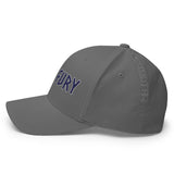 Texas Fury Structured Twill Cap