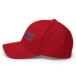 Texas Fury Structured Twill Cap