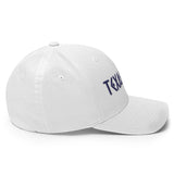 Texas Fury Structured Twill Cap