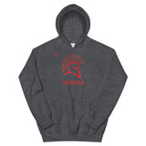 San Juan Football Unisex Hoodie