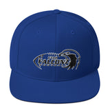 Utah Falconz Snapback Hat