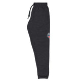 Flash Academy Basketball Unisex Joggers