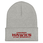 Crimson Hawks Club Baseball