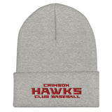 Crimson Hawks Club Baseball