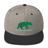 Baylor Ultimate Snapback Hat