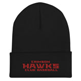 Crimson Hawks Club Baseball