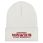 Crimson Hawks Club Baseball
