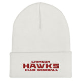 Crimson Hawks Club Baseball