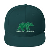 Baylor Ultimate Snapback Hat