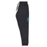 Parowan High School Baseball Unisex Joggers