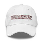 CofC Men's Volleyball Dad hat
