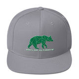 Baylor Ultimate Snapback Hat