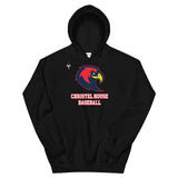Christel House Baseball Unisex Hoodie