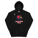 Christel House Soccer Unisex Hoodie