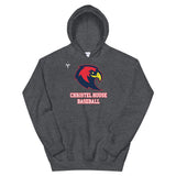 Christel House Baseball Unisex Hoodie